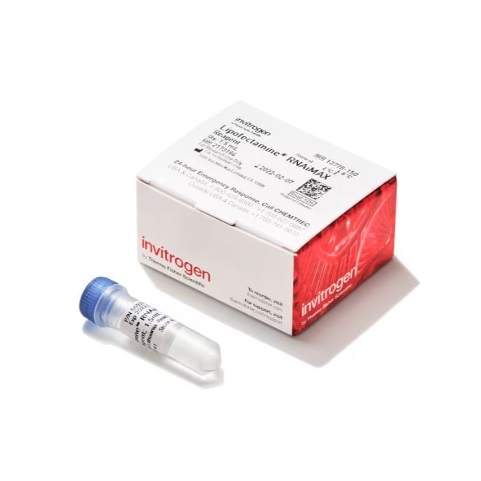 Lipofectamine™ RNAiMAX 转染试剂