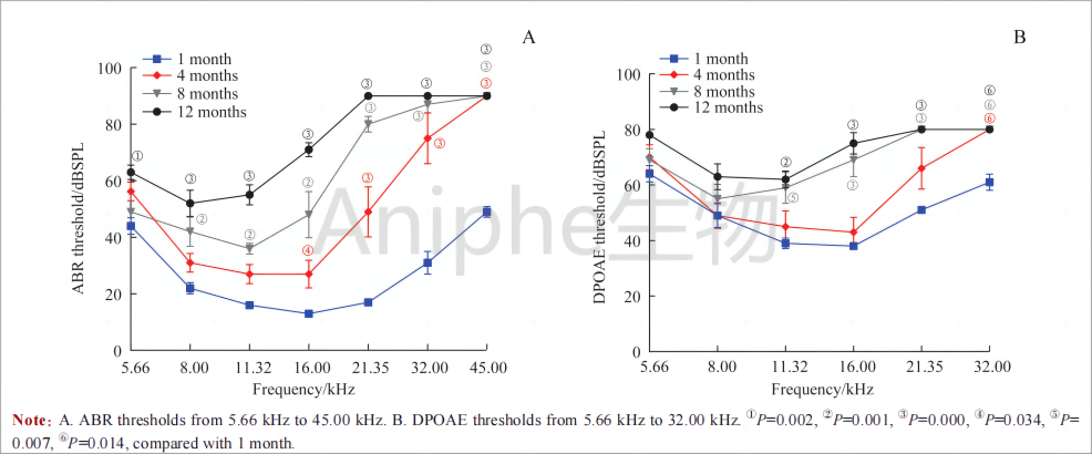 干货|最常见的实验鼠品系 —C57BL/6老龄鼠,这些你都知道吗↓