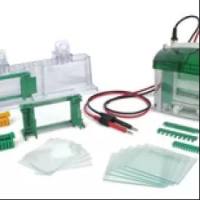 Bio-Rad 1658006 Mini-PROTEAN Tetra Cell Mini-PROTEAN Tetra Cell