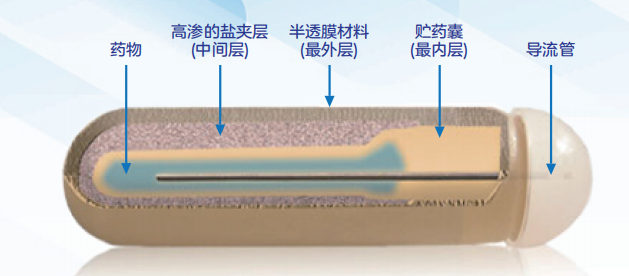 Alzet 渗透泵 2001D