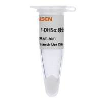 F DH5α化学感受态(DH5α Fast Chemically Competent Cell)