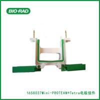 伯乐Bio-Rad1658037Mini-PROTEAN® Tetra Electrode Assembly,Mini-PROTEAN®Tetra电极组件