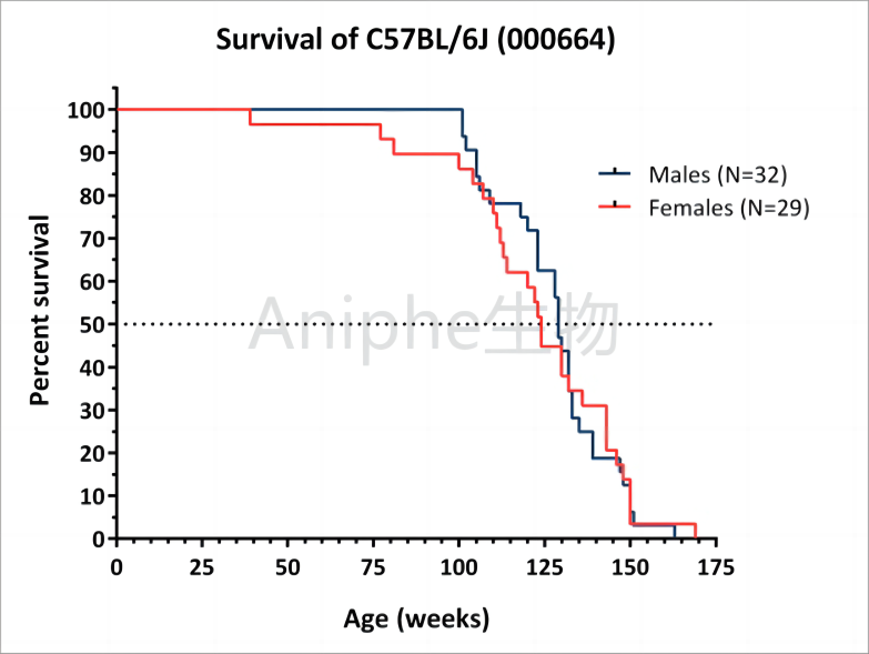 干货|最常见的实验鼠品系 —C57BL/6老龄鼠,这些你都知道吗↓