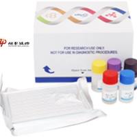 大鼠补体片断3a(C3a)酶联免疫试剂盒