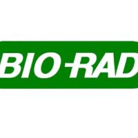 Bio-Rad MCA5922 MOUSE ANTI HUMAN SOMATOSTATIN RECEPTOR 4