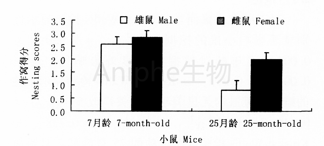 干货|最常见的实验鼠品系 —C57BL/6老龄鼠,这些你都知道吗↓