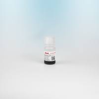 Protein A琼脂糖磁珠