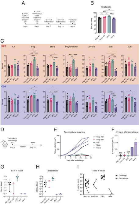 联合破坏 T 细胞炎症调节因子 Regnase-1 和 Roquin-1 可增强工程化 T 细胞的抗肿瘤活性