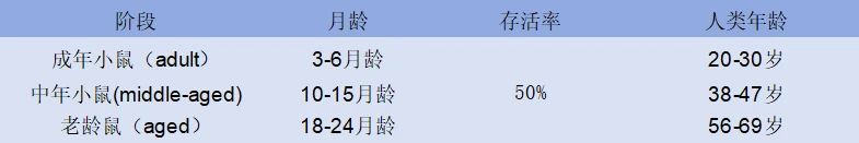 干货|最常见的实验鼠品系 —C57BL/6老龄鼠,这些你都知道吗↓