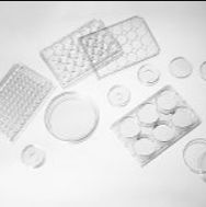 Cellvis  L001  培养板玻片盖子-通配cellvis所有玻底培养板