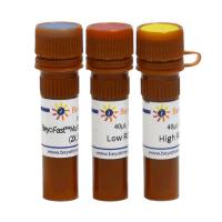 BeyoFast™ Multiplex Probe qPCR Mix (2X, 防污染型)