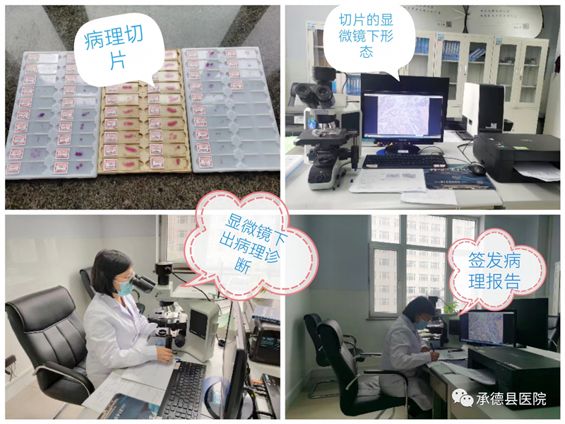 探秘病理科：病理报告为什么这么慢？
