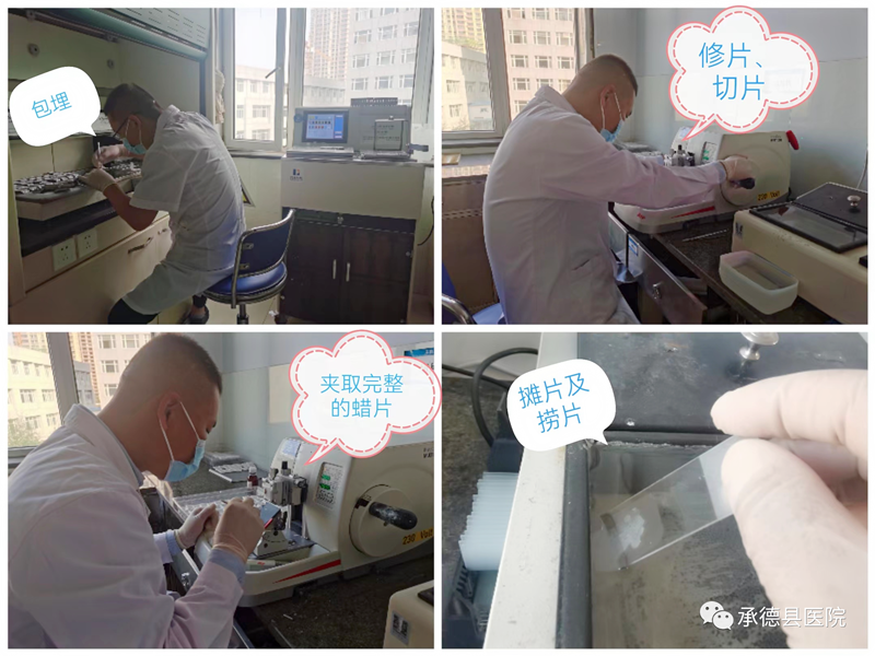 探秘病理科：病理报告为什么这么慢？