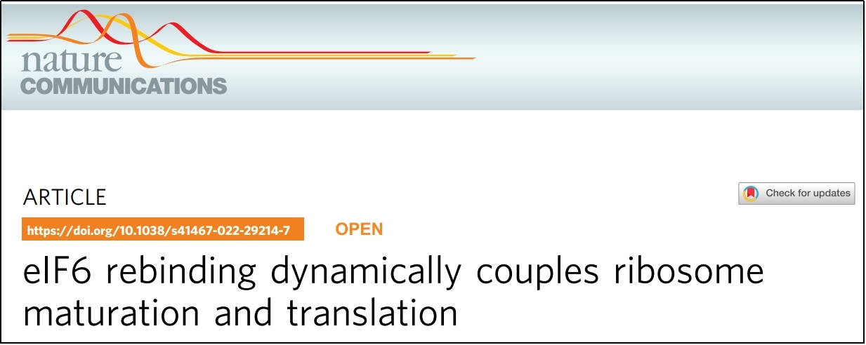 Nat Commun. |核糖体成熟和循环过程中Polysome Profiling和免疫印迹技术的联用研究