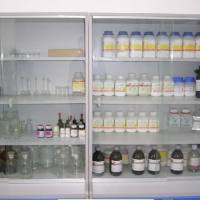 抗小鼠/人 Ki-67 荧光标记PE 抗体