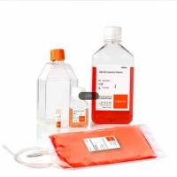 Corning 88-571-kit康宁NK细胞活化扩增培养套装Ⅱ