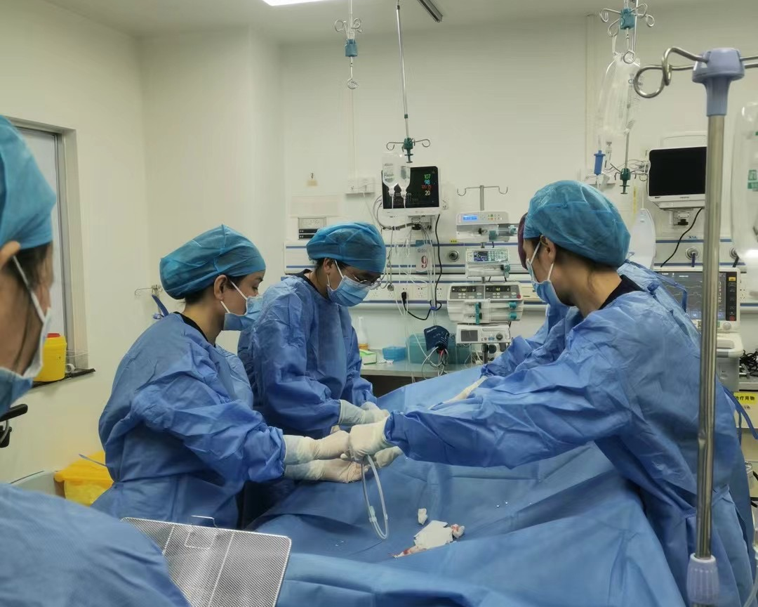 爆发性心肌炎患者危在旦夕,自治区南溪山医院 ECMO 团队再创生命奇迹