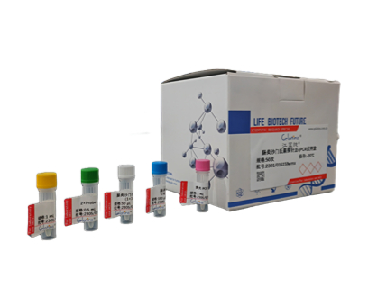 Lelystad Virus(LV)探针法荧光定量RT-PC