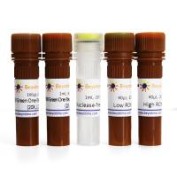 BeyoFast™ SYBR Green One-Step qRT-PCR Kit (防污染型)