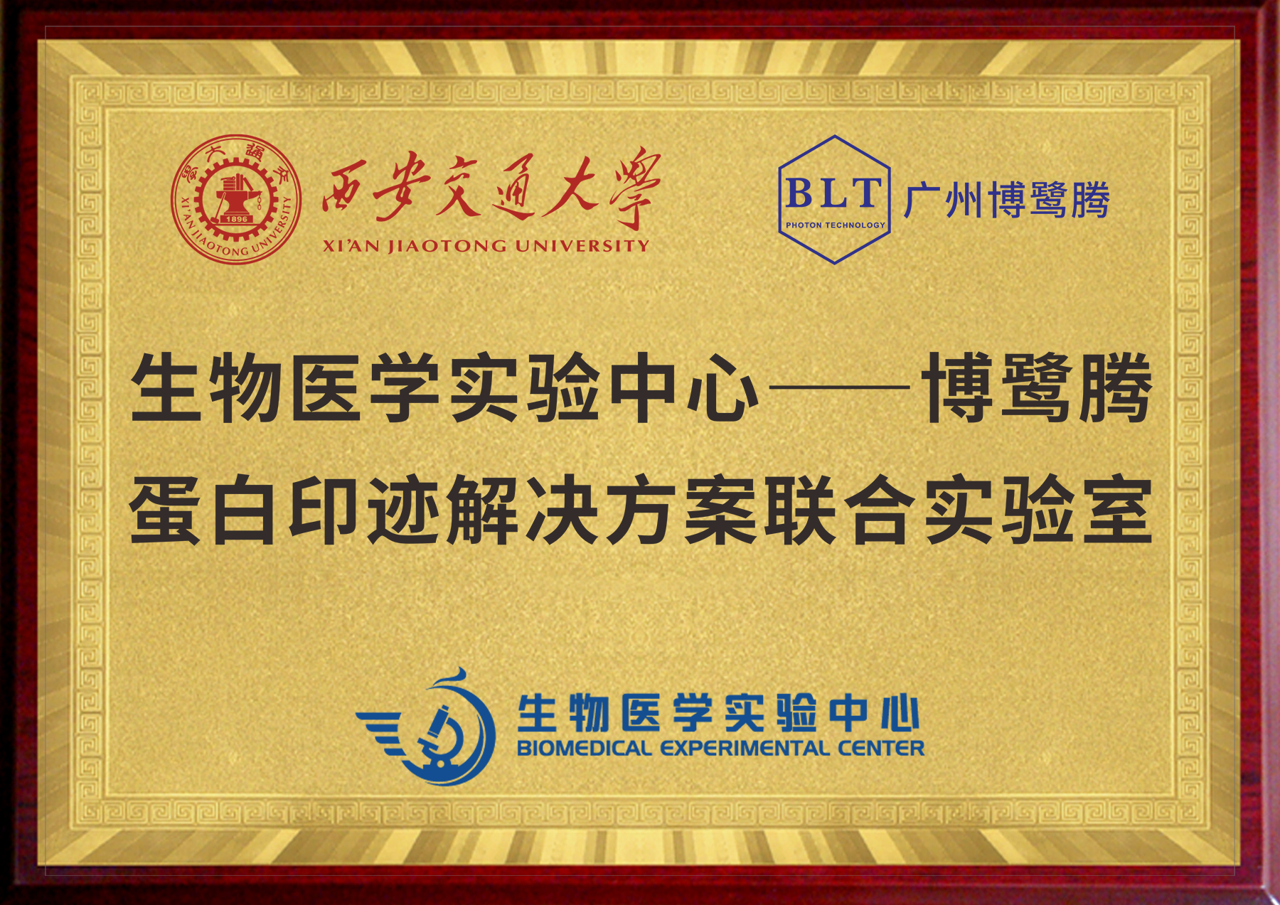 博鹭腾与西安交通大学生物医学实验中心建立联合实验室