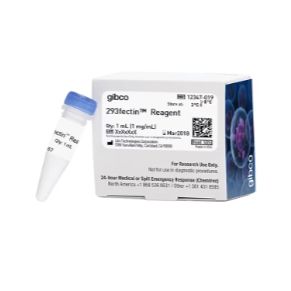  Gibco™ 293fectin™ 转染试剂