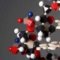 Cyanine7 抗人 CD184 (CXCR4) 荧光标记APC 抗体