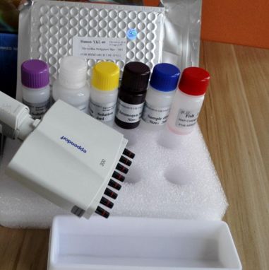 大鼠甲基化酶(Methylase)酶联免疫试剂盒