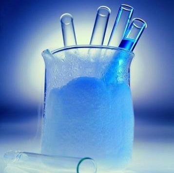 Direct-Blot™ HRP 抗 IRF7 抗体