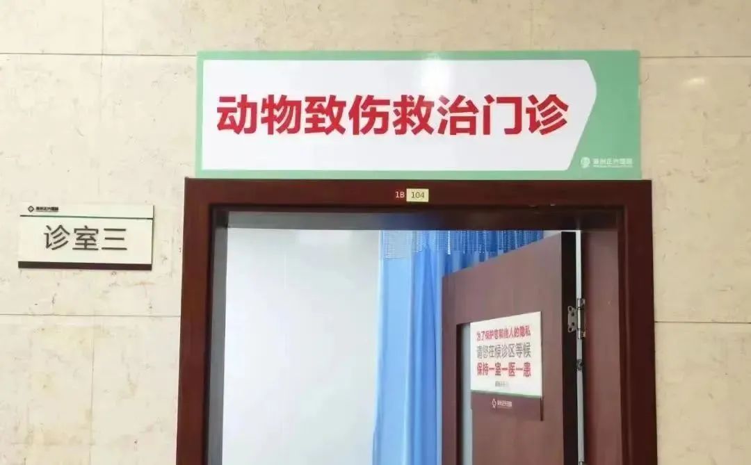 可怕！竹叶青藏在花圃里，漳州阿伯深夜呼救！