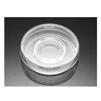 Falcon 353037 60mm X 15mm型中心井器官培养皿,组织培养处理,无菌,散装,