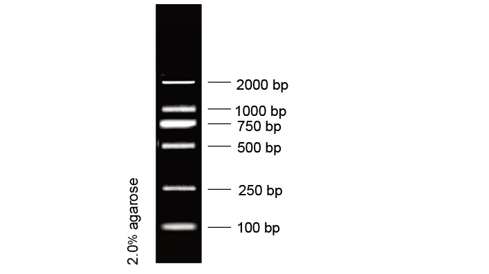 D2000分子量标准(MD114)