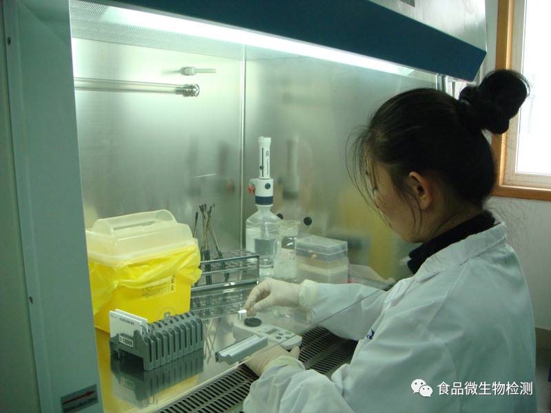 GB4789.4-2016沙门氏菌的检验过程及操作时的注意事项