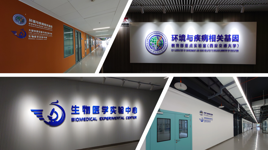 博鹭腾与西安交通大学生物医学实验中心建立联合实验室