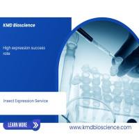 重组蛋白昆虫表达服务