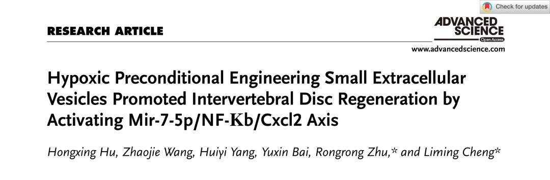 Adv Sci丨HP-sEVs通过激活Mir-7-5p/NF-Κb/Cxcl2轴促进椎间盘再生