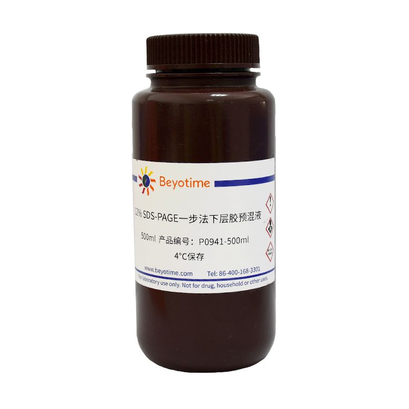 12% SDS-PAGE一步法下层胶预混液