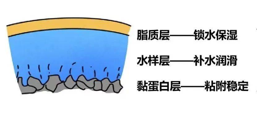 霜降至，眼干燥，眼睛「缺水」怎么办？武汉普瑞眼科医生来支招