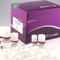 天根  DP315-R  TIANamp Virus RNA Kit