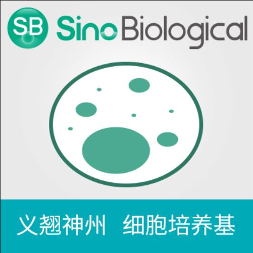 Sino Biological  M293-SUPI-100ML  SMS 293-SUPI Expression Medium Supplement