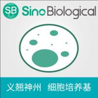 Sino Biological M293-SUPI-100ML SMS 293-SUPI Expression Medium Supplement