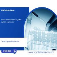 重组蛋白酵母表达服务