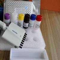 大鼠水通道蛋白1(AQP-1)酶联免疫试剂盒