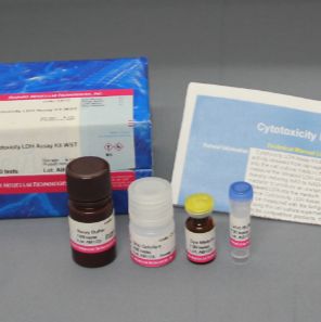 同仁化学  CK12  Cytotoxicity LDH Assay Kit-WST
