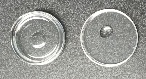 动物辅助生殖技术-精子冻存