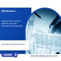 抗体纯化服务
