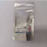 同仁化学 AD10 Annexin V, FITC Apoptosis Detection Kit