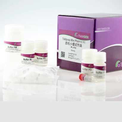 天根 DP103-03  Virus DNA/RNA Extraction Kit Ⅱ