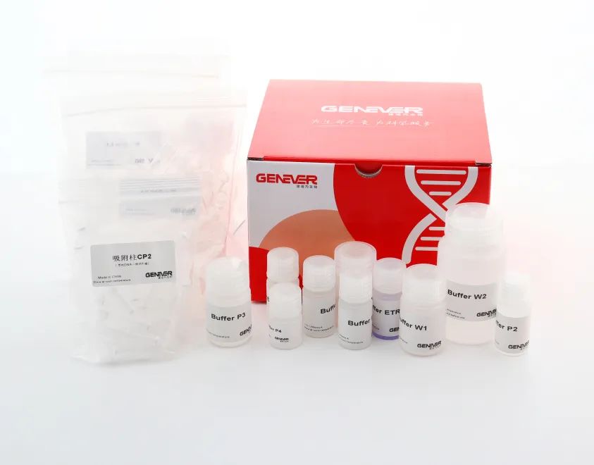 质粒提取试剂盒小量