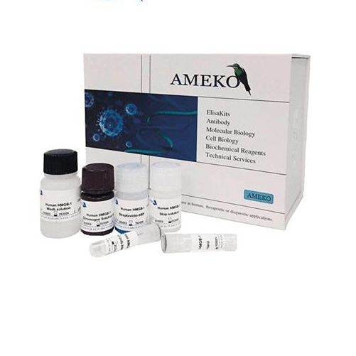 小鼠肿瘤坏死因子α(TNF-αELISA Kit）试剂盒