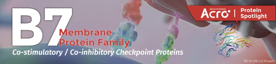 B7家族的多面光辉